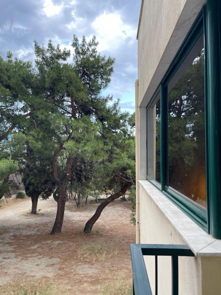 Maria'S Central Apartment Ξάνθη Εξωτερικό φωτογραφία